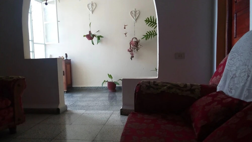 I Colibrí