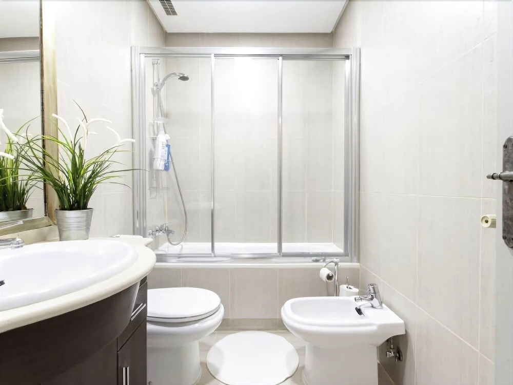 LAVAPIÉS Apartment I (1BR 1BT)