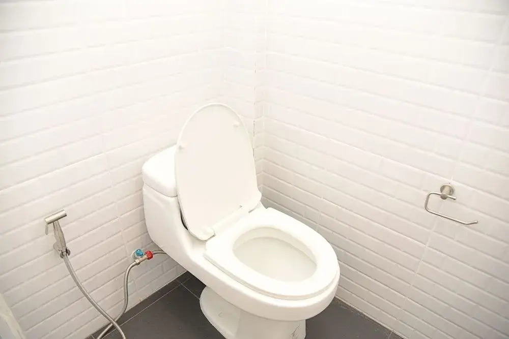 Designer's Home