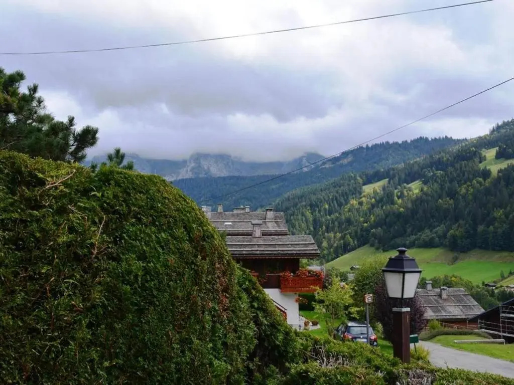 Appartement Le Grand-Bornand, 1 pièce, 4 personnes - FR-1-241-95