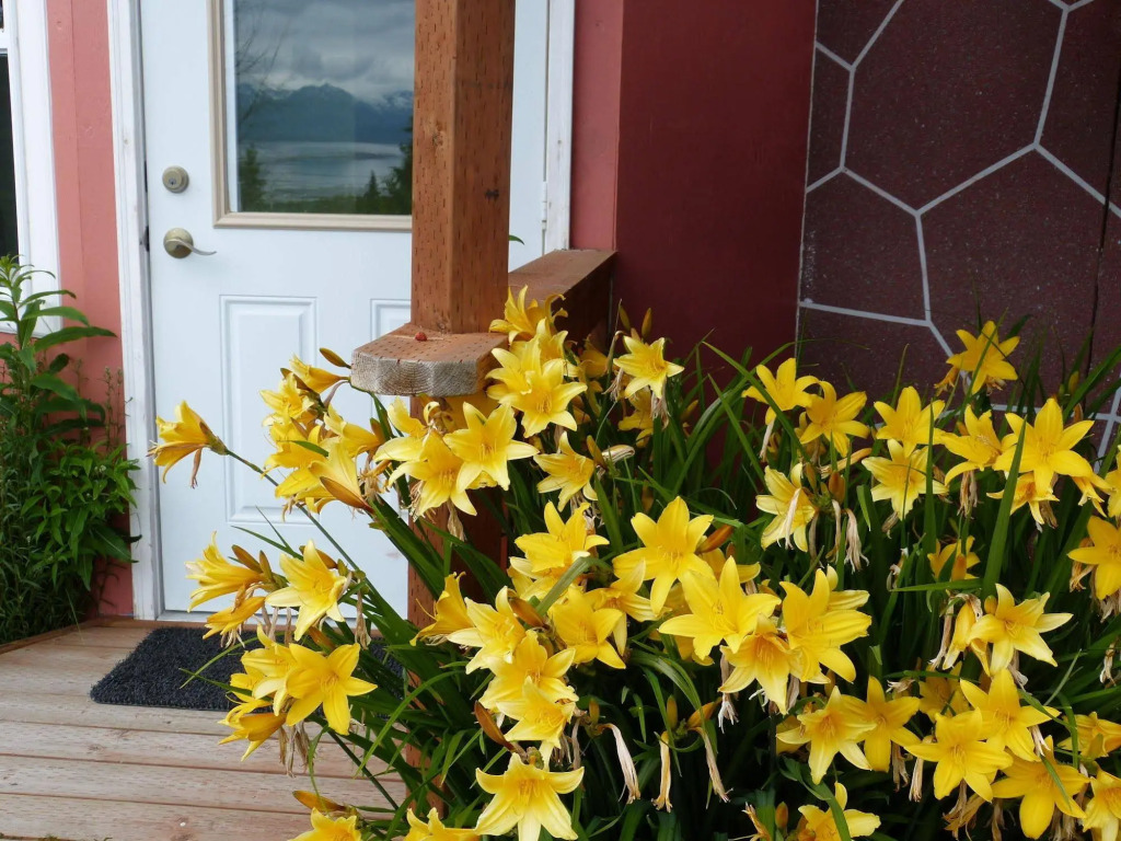 Halcyon Heights B&B/Inn