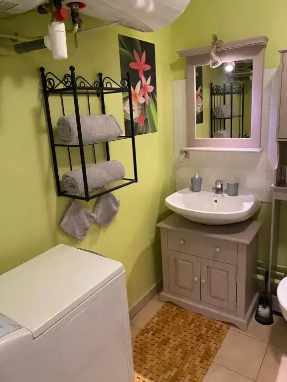 Appartement Cosy avec jardin privatif et garage
