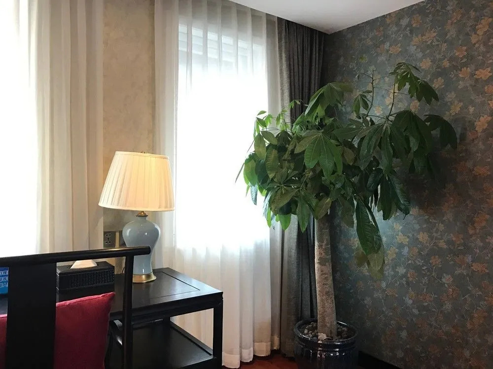 Fuxue QiuGuo Hotel Beijing Nanluoguxiang Siheyuan Branch