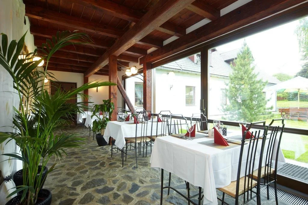 Wellness Hotel Holzberg - krytý relaxační bazén, dětský bazén, whirlpool, sauna, restaurace, bowling, venkovní hřiště, herna, pingpong, billiard