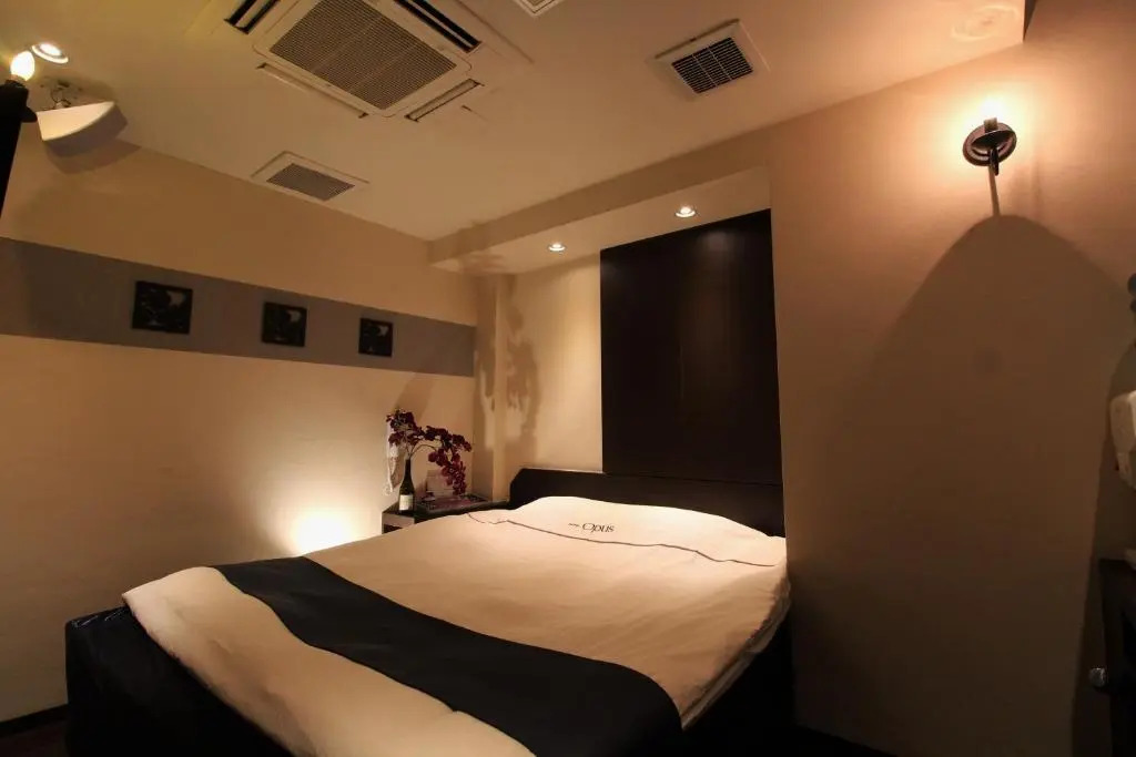 Hotel Opus