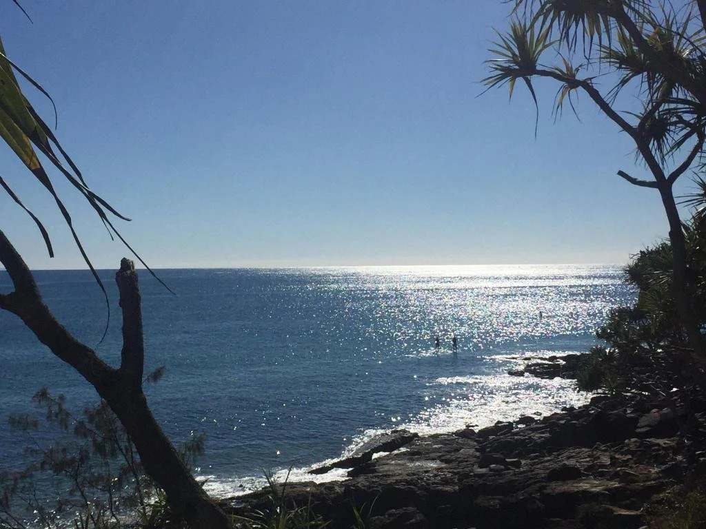 Habitat Noosa
