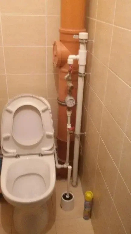 Belysheva 5 Levyi