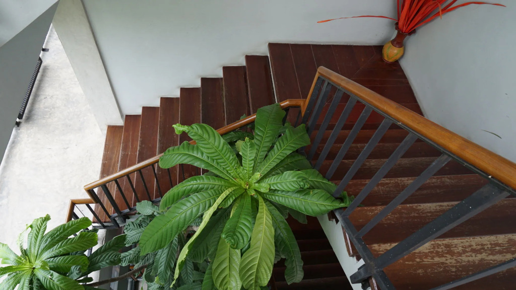 Thongtha Residence