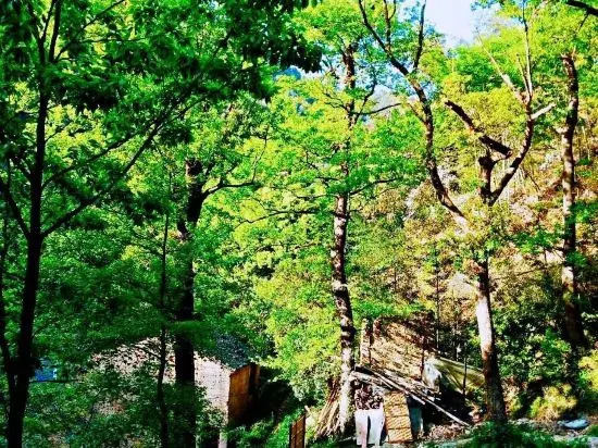 Xinchang Shangshitang Tianmu Mountain Residence