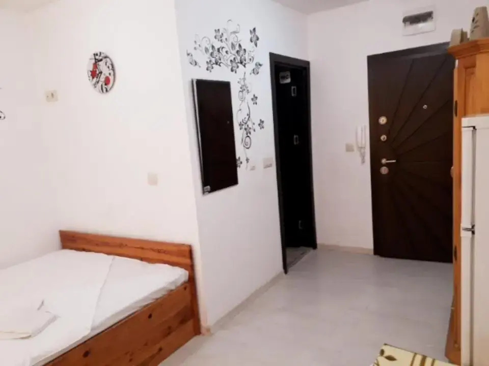 Ruse Central Studio