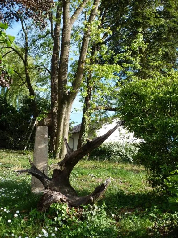 Gîte dMaïsala Les Mésanges