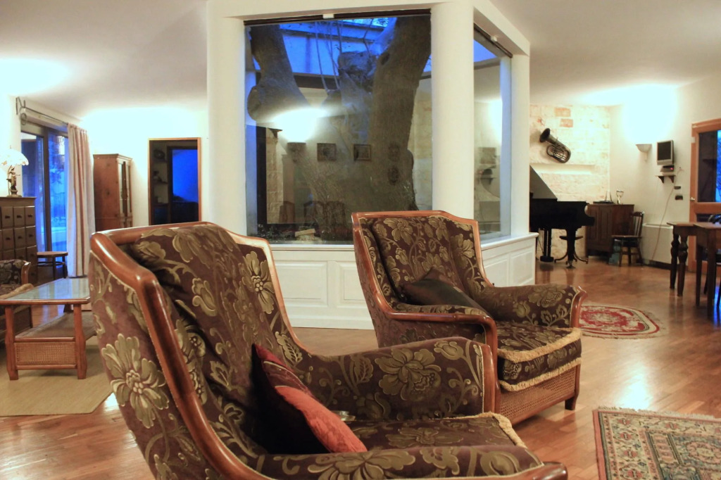 B&B Antico Ulivo