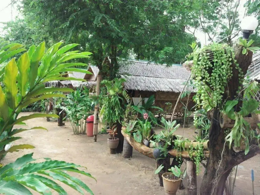 Jackie Bamboo House