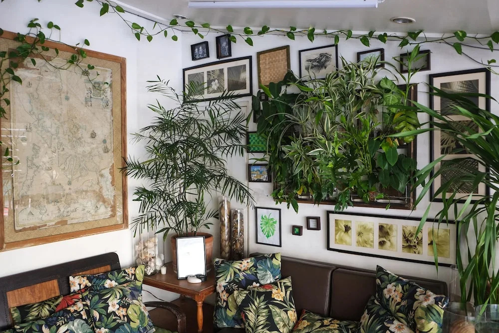 Humble Hut Hostel