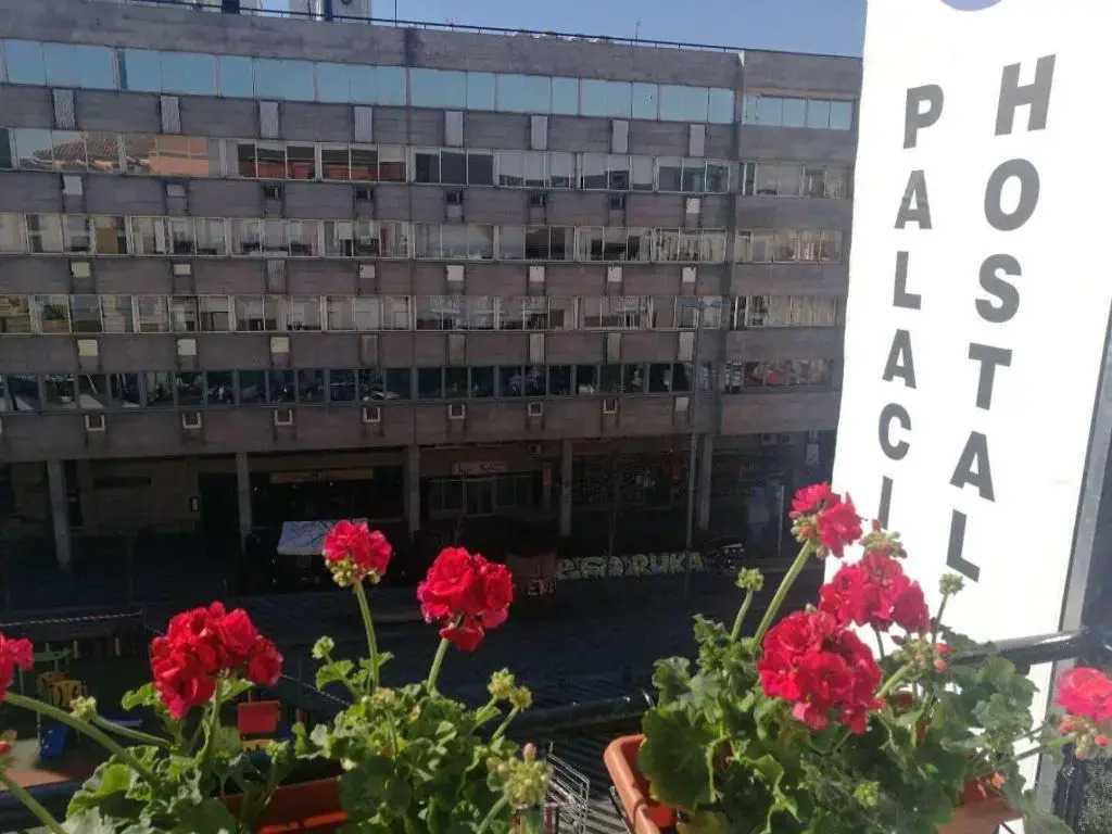Hostal Palacio Luna
