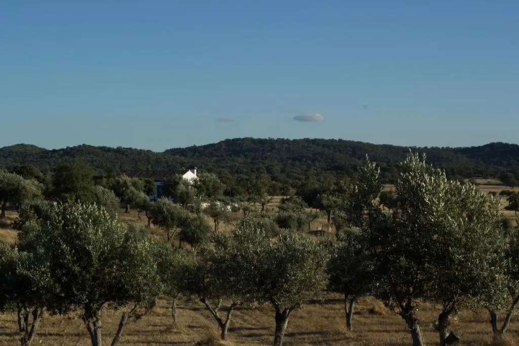 Tapada da Eira e Chanca