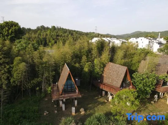 Tree Frog Resort Hotel