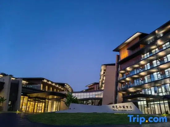 Taoyi Songyuan Hotel