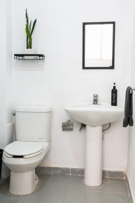 Acogedor y Amplio Departamento Roma Nte