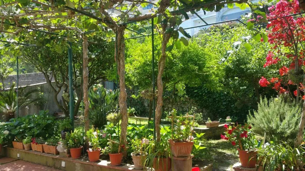 Villa dei fiori B&B
