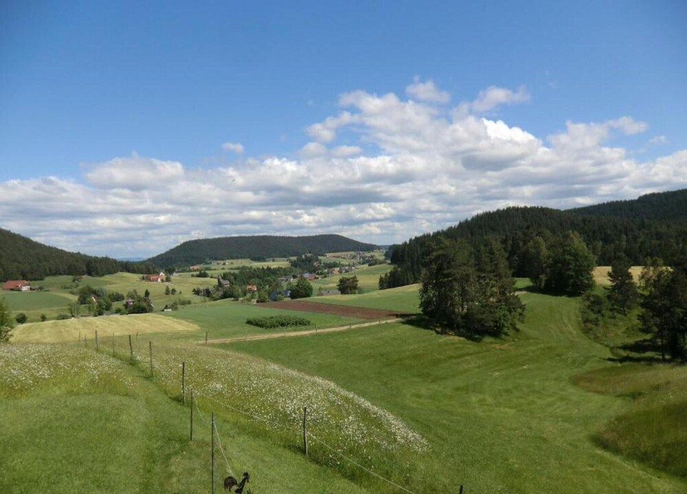 Ferienwohnung in Lauterbach im Schwarzwald