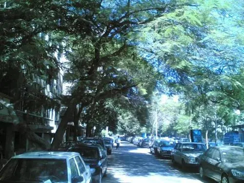 300 sqm2 flat in Cairo
