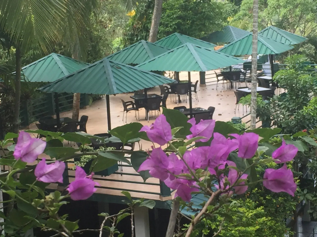Rainforest Lodge, Deniyaya singheraja