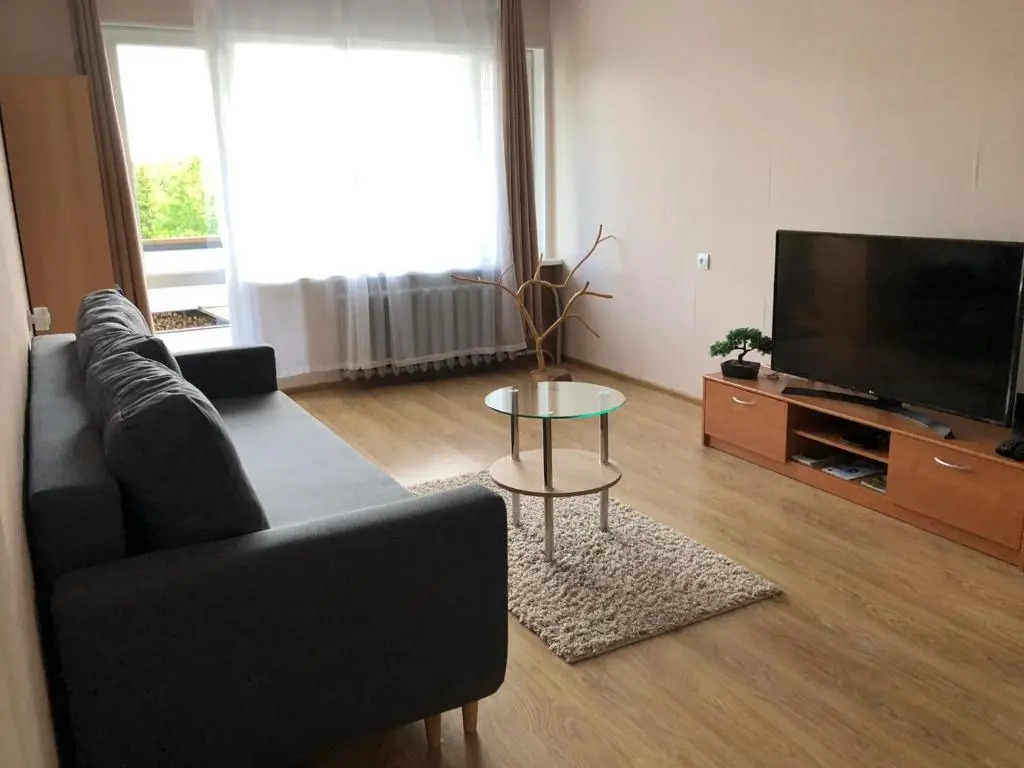 Ergli Apartment