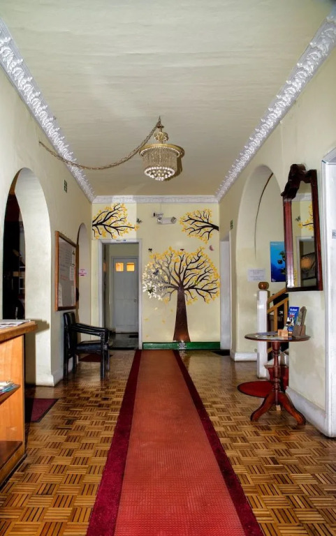 The Yellow House