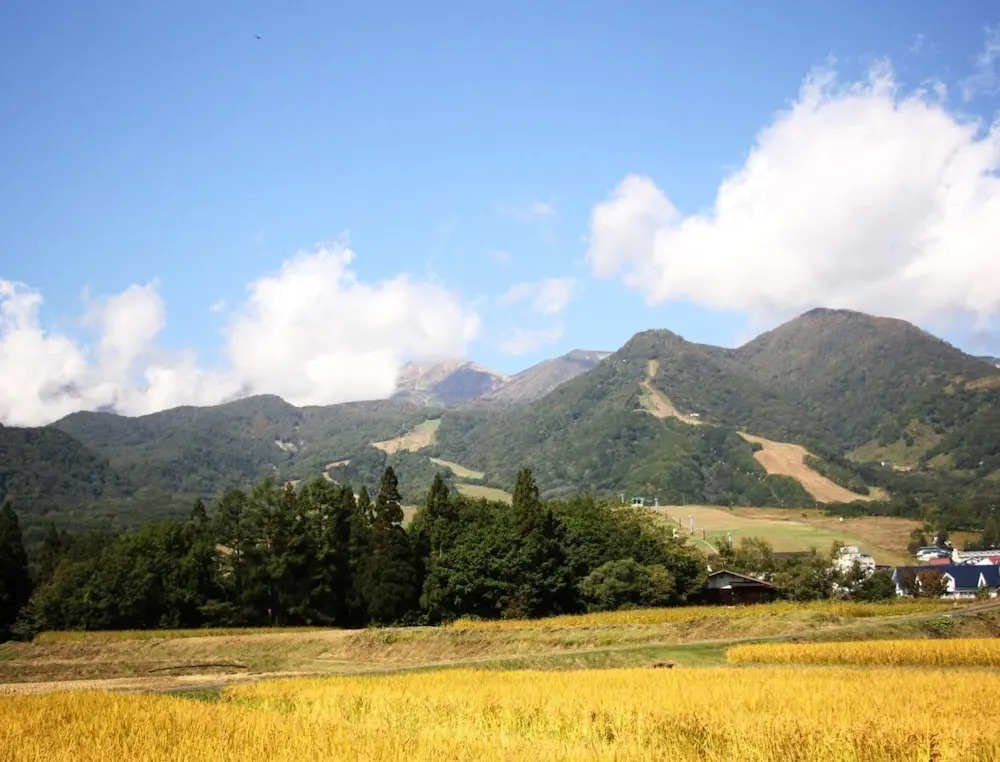 Hakuba Tsugaike Sunrise Tanne