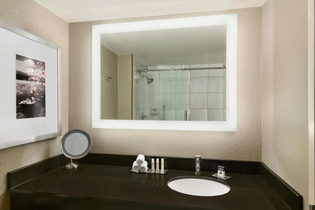 DoubleTree by Hilton Hotel Detroit Novi