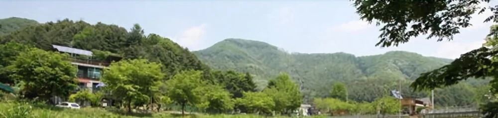 Yangpyeongwhite Tree Pension