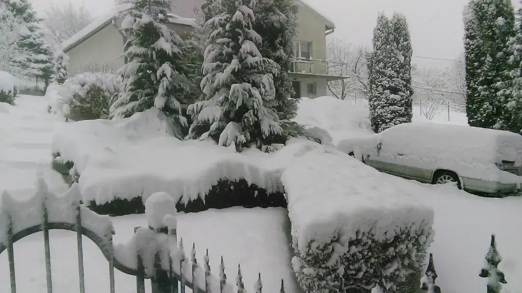 Apartament TARA