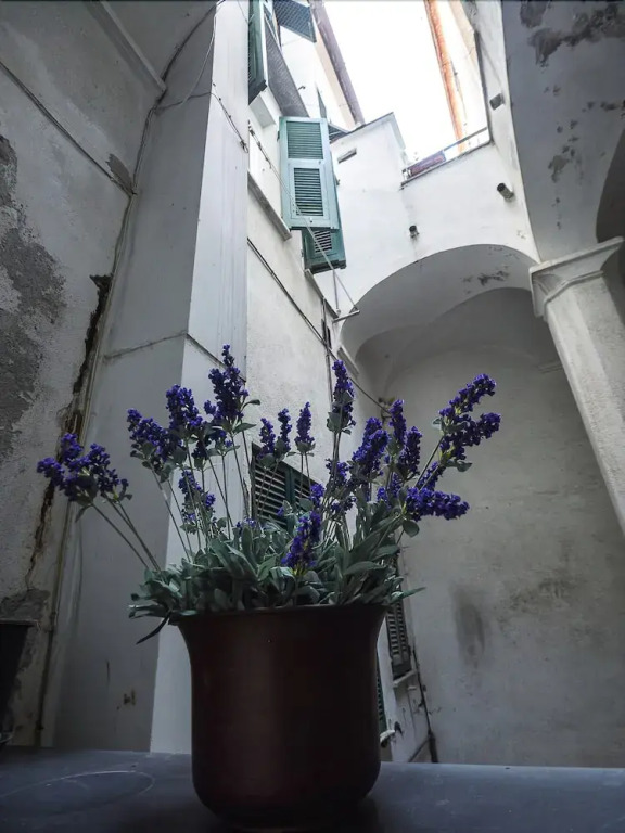 Cornabrugia Patio Apartment