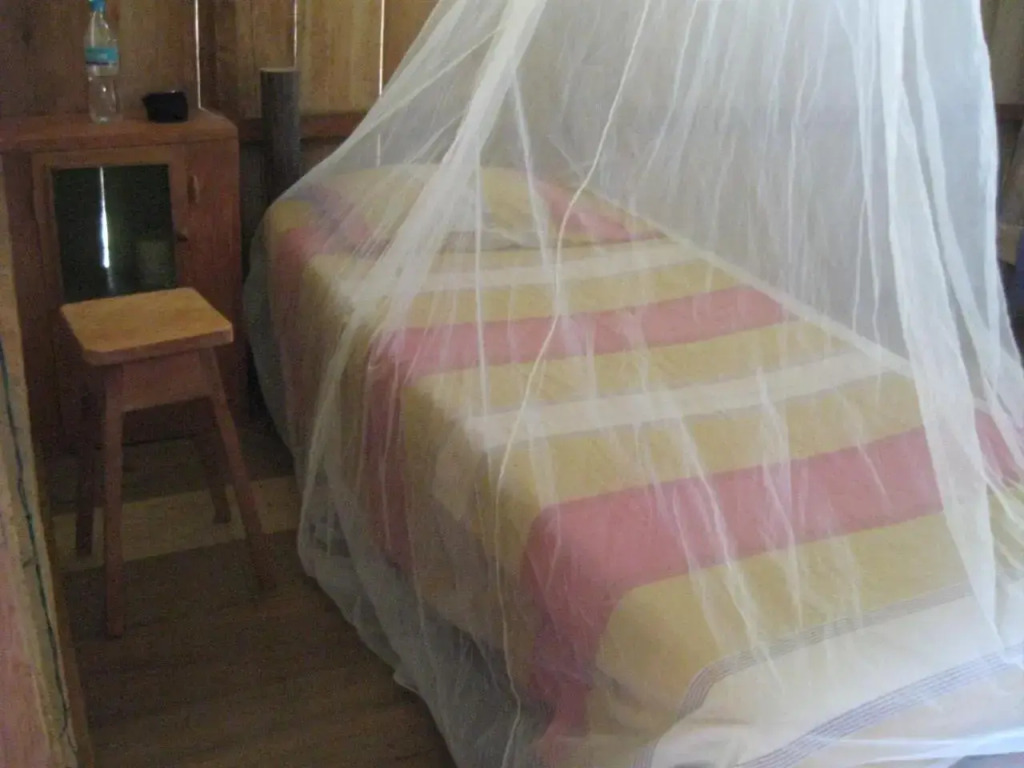 Jungle Wolf Expeditions Lodge & Tours Iquitos