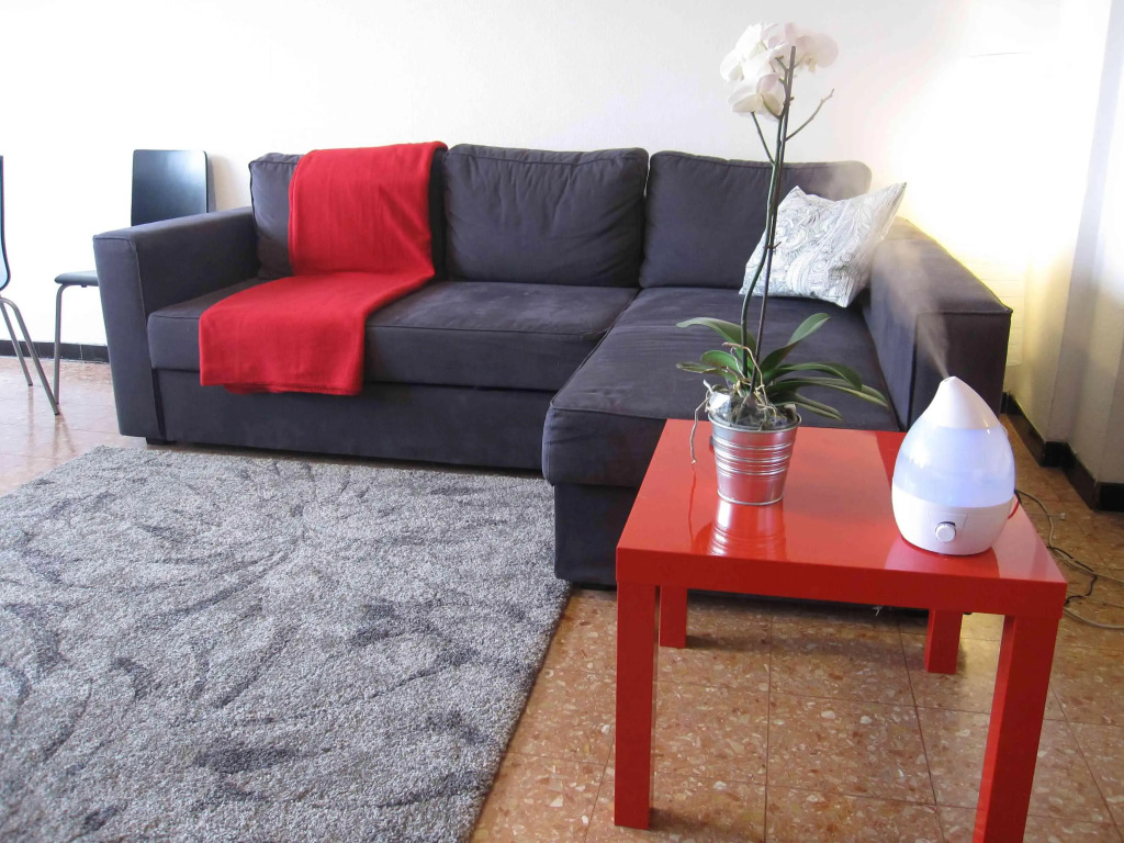 Kennedy - Studio 1st Floor - ZEA 39151