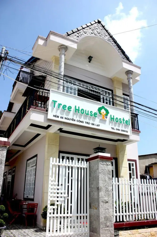 Tree House Hostel