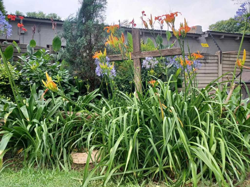 Flutterby Guesthouse