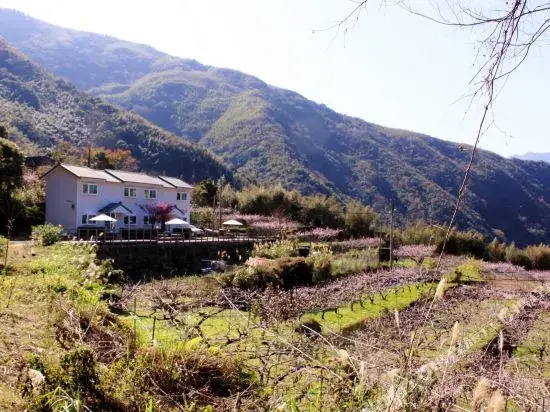 Magao Hostel