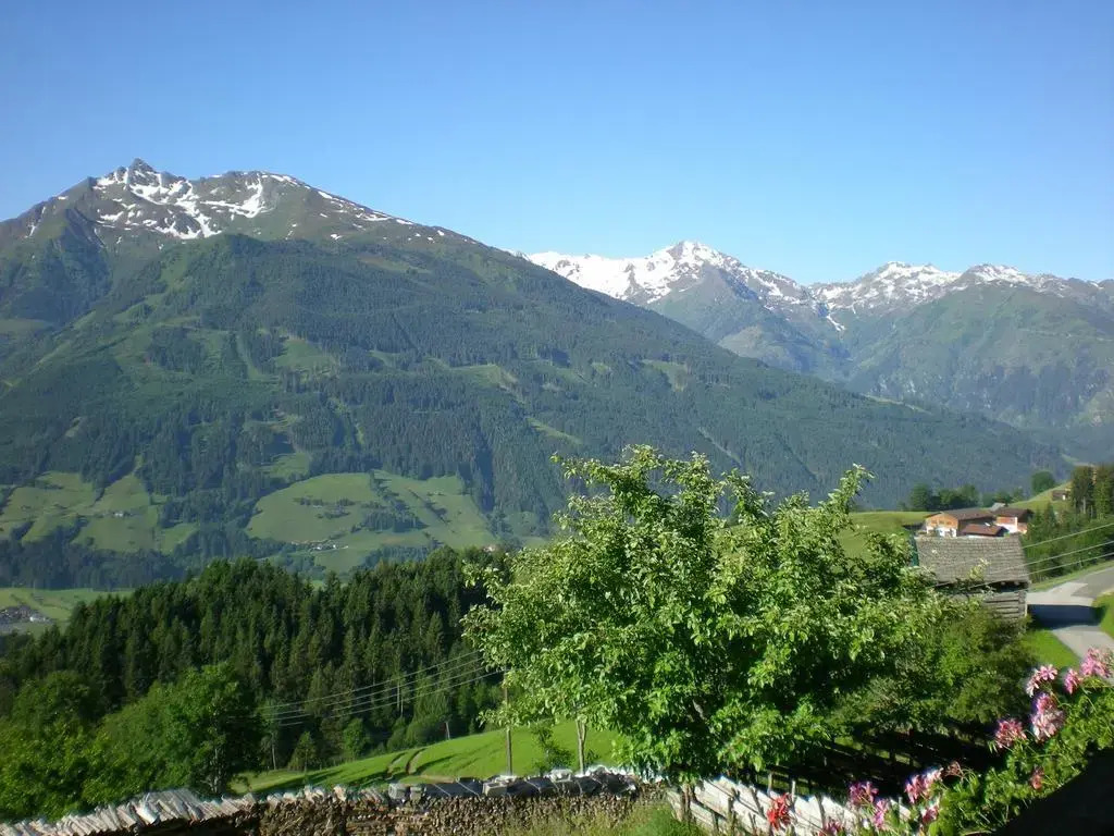 Brandnerhof