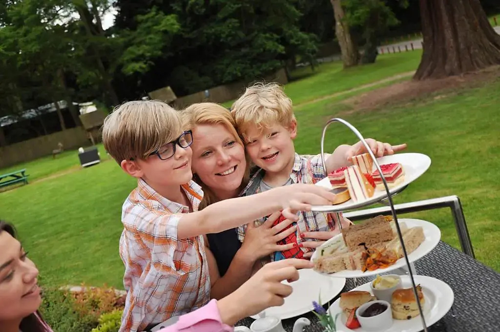 Drayton Manor Hotel