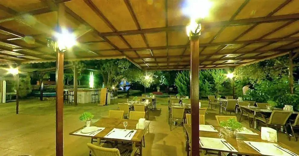 Club Alisya