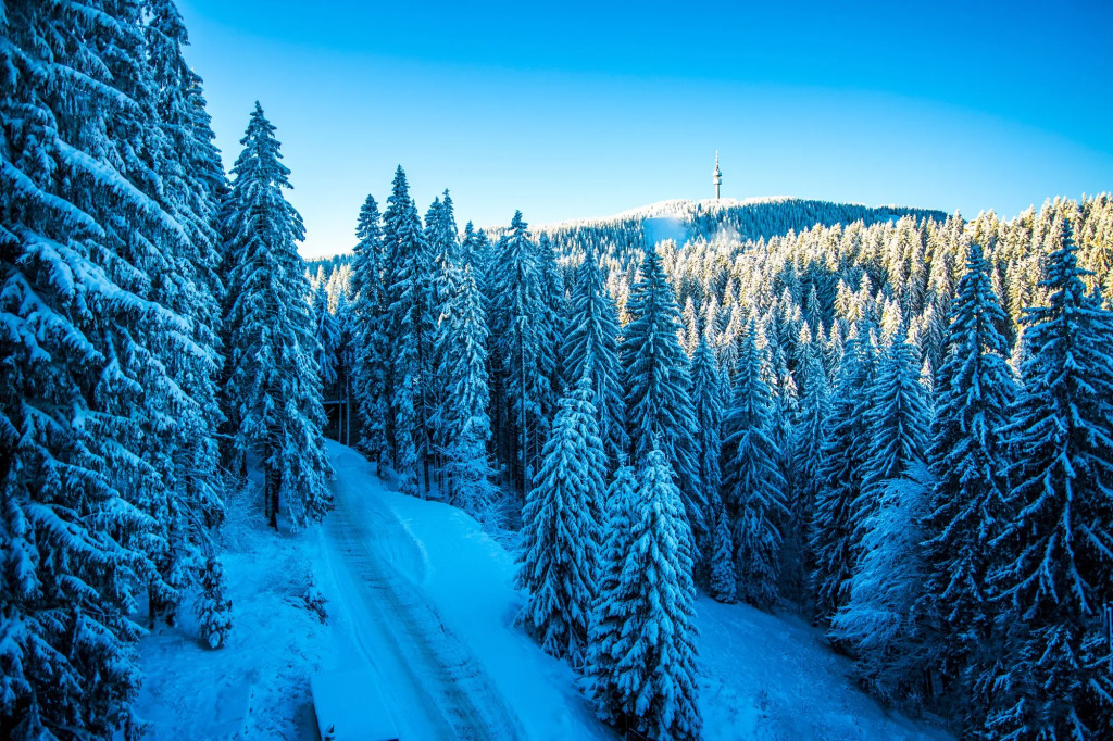 Sunny Hills Ski&Wellness