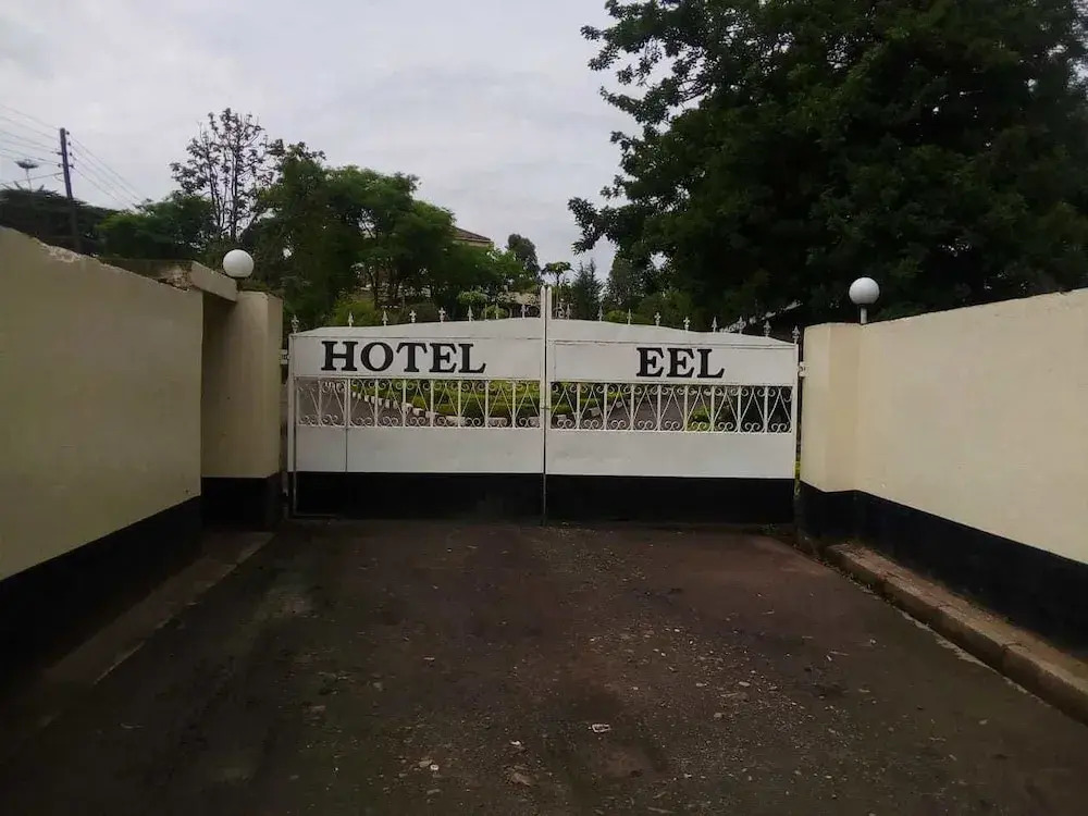 Hotel Eel