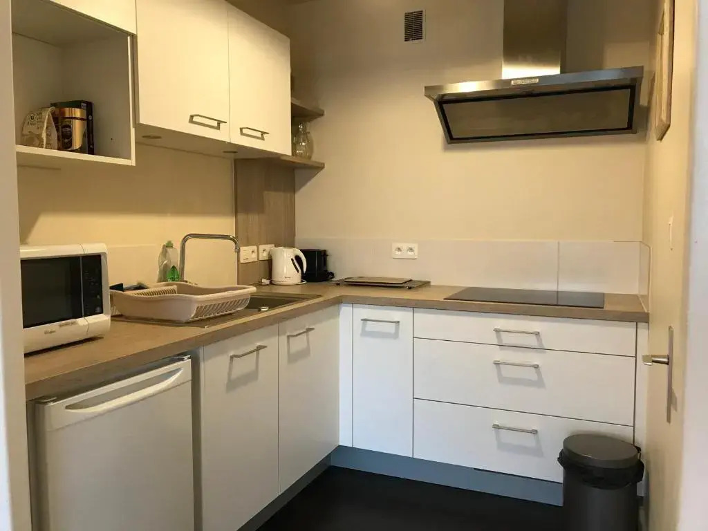 Appartement Chamonix-Mont-Blanc, 2 pièces, 4 personnes - FR-1-507-27