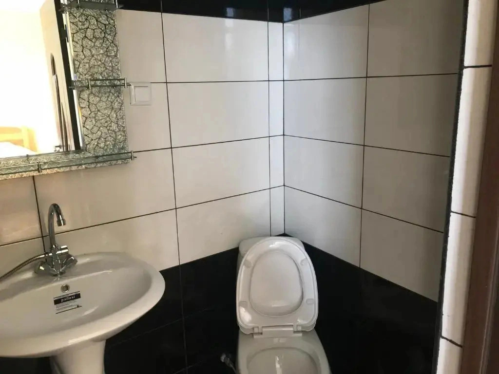 Kotej v tsentre Dilidzhana