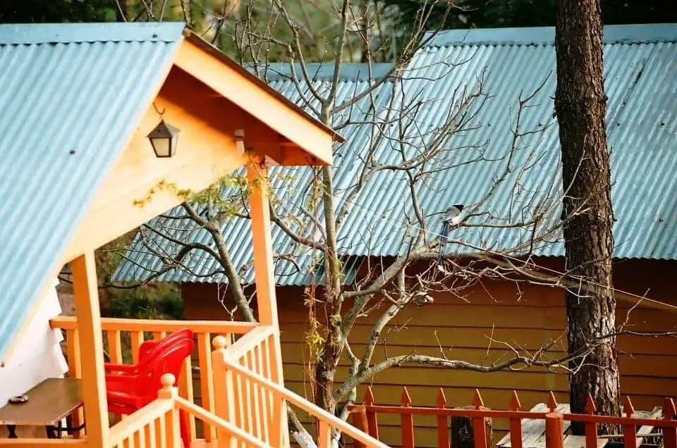 Himgiri Nature Retreat