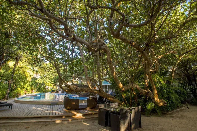 Paradise Oceanic Hotel