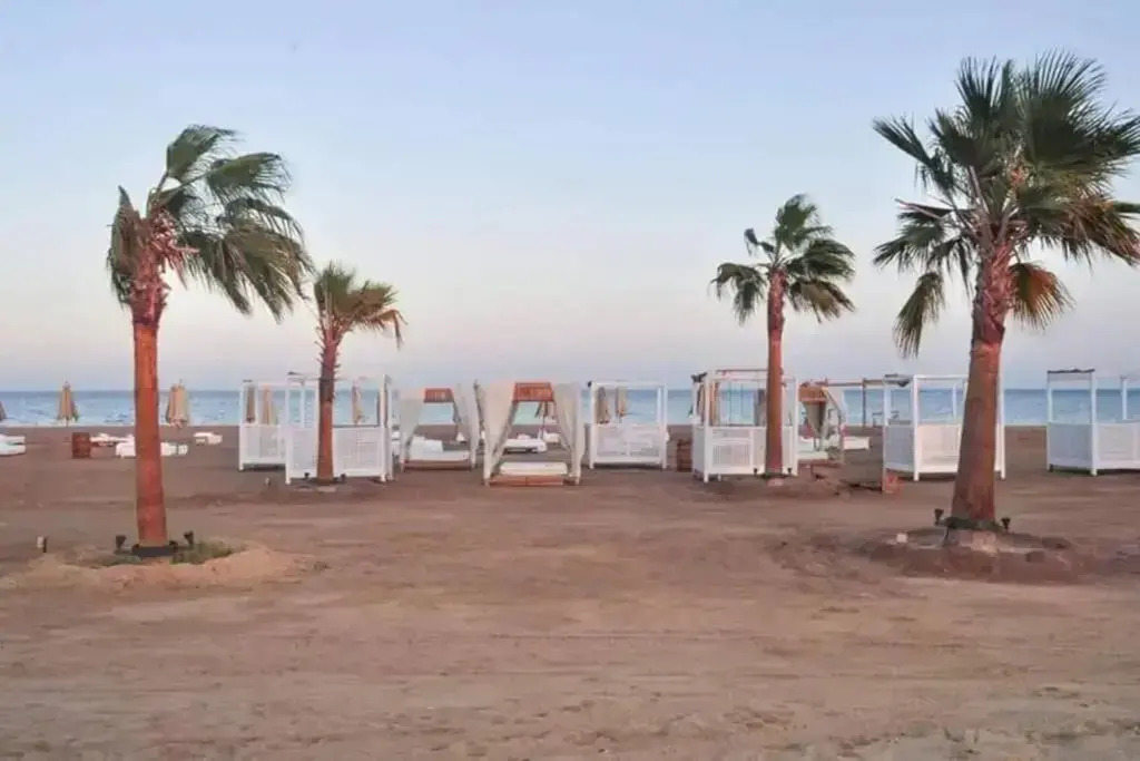 Mangrovy 2 BR Gouna