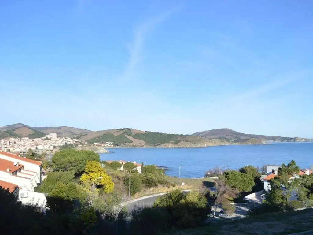 Appartement Banyuls-sur-Mer, 1 pièce, 4 personnes - FR-1-225C-385